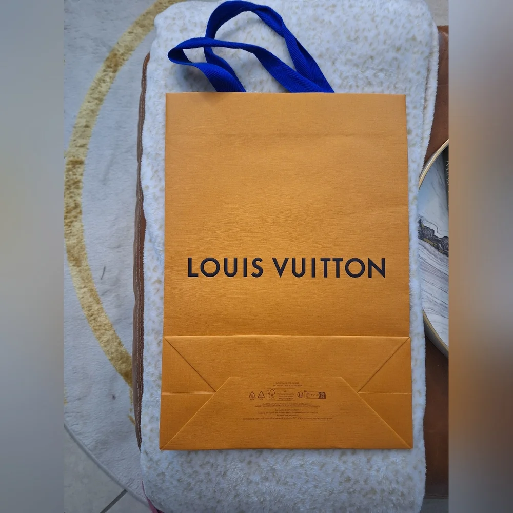 Louis Vuitton Paper Bag